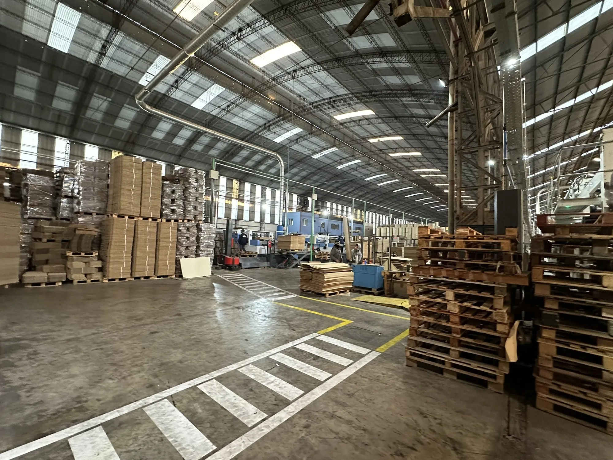 Planta de Aconcagua en operación: pallets de cartón, autoelevador y calles de circulación señalizadas